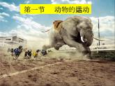 人教版八年级生物上册课件 5-2.1动物的运动