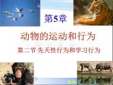 人教版八年级生物上册课件 5-2.2先天性行为和学习行为