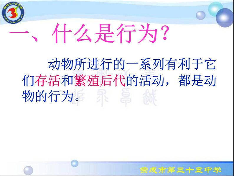 人教版八年级生物上册课件 5-2.2先天性行为和学习行为第2页