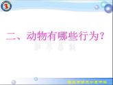 人教版八年级生物上册课件 5-2.2先天性行为和学习行为