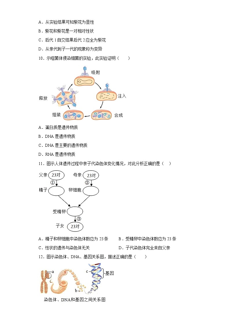 河北省秦皇岛市青龙县2021-2022学年八年级下学期期末生物试题(含答案)第3页