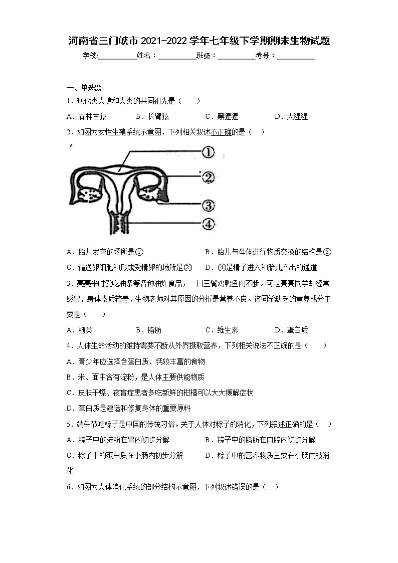 河南省三门峡市2021-2022学年七年级下学期期末生物试题(含答案)第1页