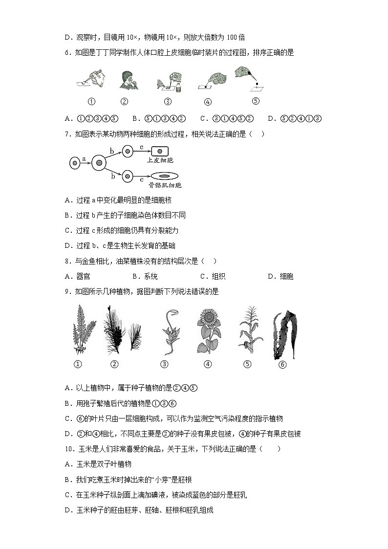 河南省新乡市部分市区2021-2022学年七年级上学期期末生物试题(含答案)02