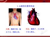 第四章第三节  输送血液的泵—心脏（一） 课件