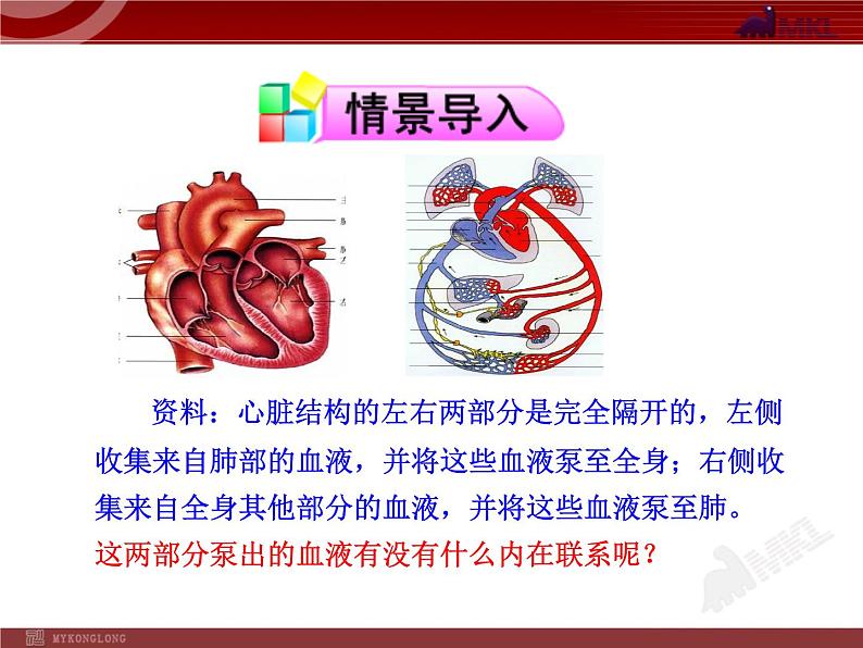 第四章第三节  输送血液的泵—心脏（二） 课件02