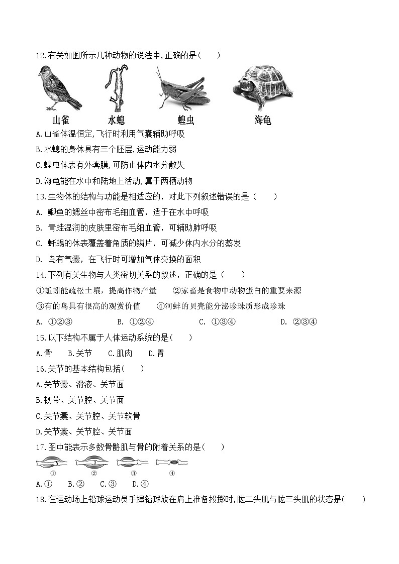 第一次月考-2022-2023学年八年级生物上册课后培优分级练（人教版）（原卷版）第3页