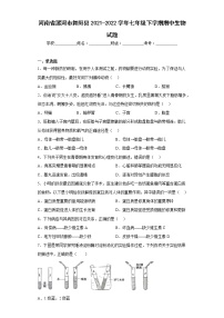 河南省漯河市舞阳县2021-2022学年七年级下学期期中生物试题(含答案)