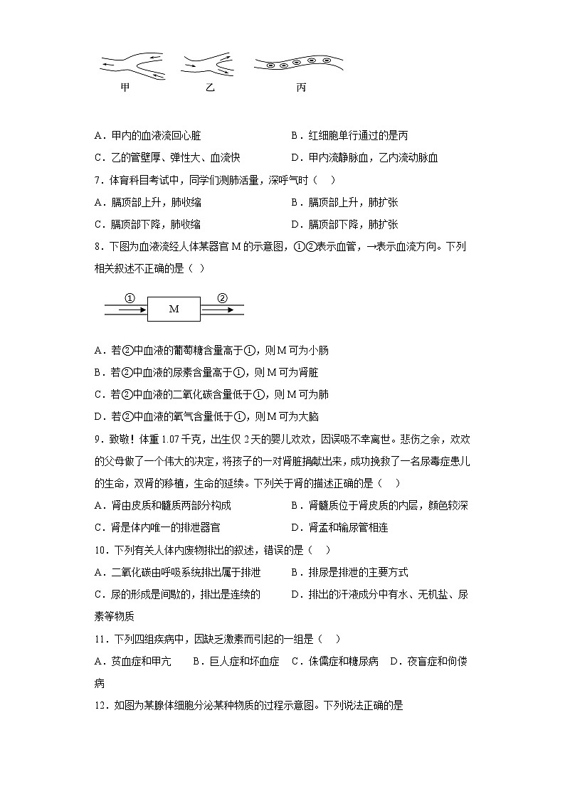 河南省平顶山市汝州市2021-2022学年七年级下学期期末生物试题(含答案)02