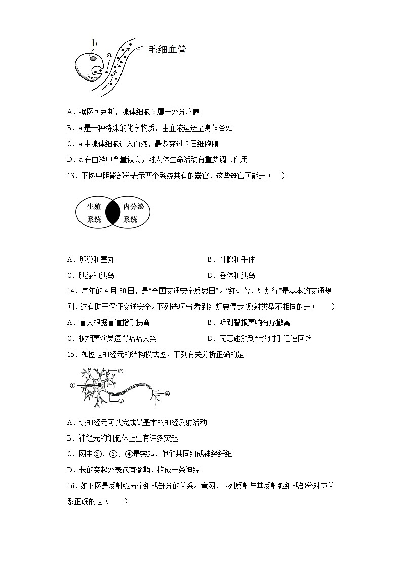 河南省平顶山市汝州市2021-2022学年七年级下学期期末生物试题(含答案)03