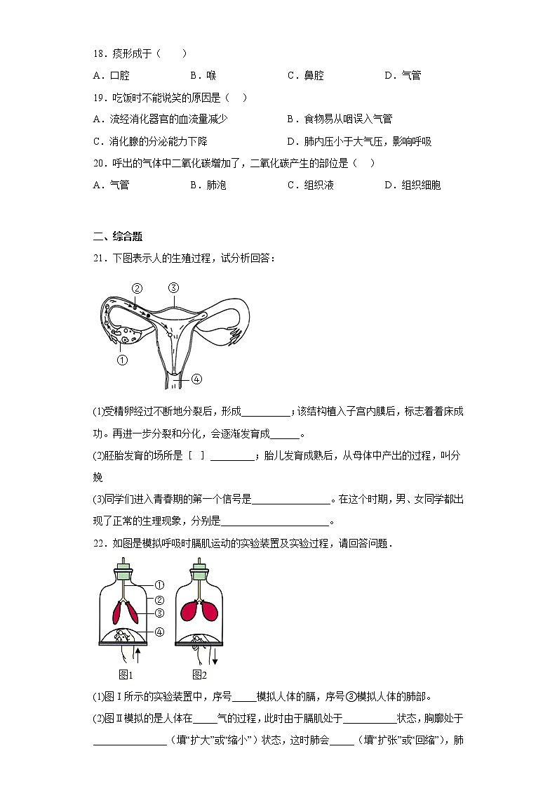 江西省抚州市南城县2021-2022学年七年级下学期期中生物试题(含答案)第3页