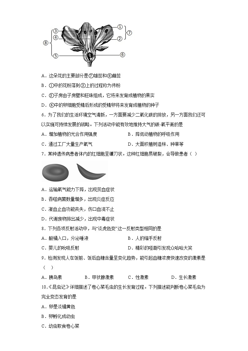 江西省吉安市永丰县部分学校2021-2022学年八年级下学期期中生物试题(含答案)第2页