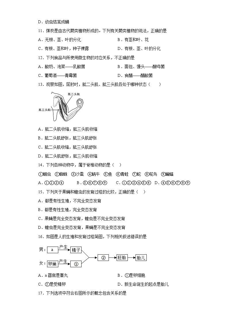 江西省吉安市永丰县部分学校2021-2022学年八年级下学期期中生物试题(含答案)第3页