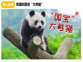 人教版《生物与环境的关系（第一课时）》PPT课件+视频