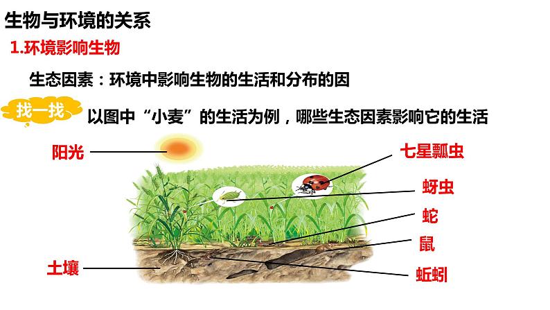 1.2.1 生物与环境的关系（第一课时）第5页