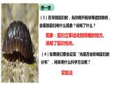 人教版《生物与环境的关系（第二课时）》PPT课件+视频