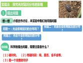 人教版《生物与环境的关系（第二课时）》PPT课件+视频