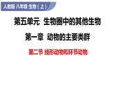 人教版《线形动物和环节动物》PPT课件+视频