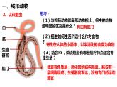人教版《线形动物和环节动物》PPT课件+视频