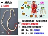 人教版《线形动物和环节动物》PPT课件+视频