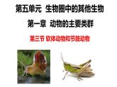 人教版《软体动物和节肢动物》PPT课件+视频