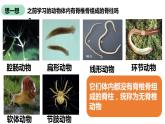人教版第五单元第一章第四节《鱼》PPT课件+视频