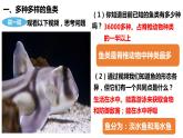 人教版第五单元第一章第四节《鱼》PPT课件+视频