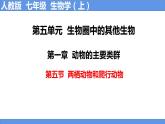 人教版《两栖动物和爬行动物》PPT课件+视频