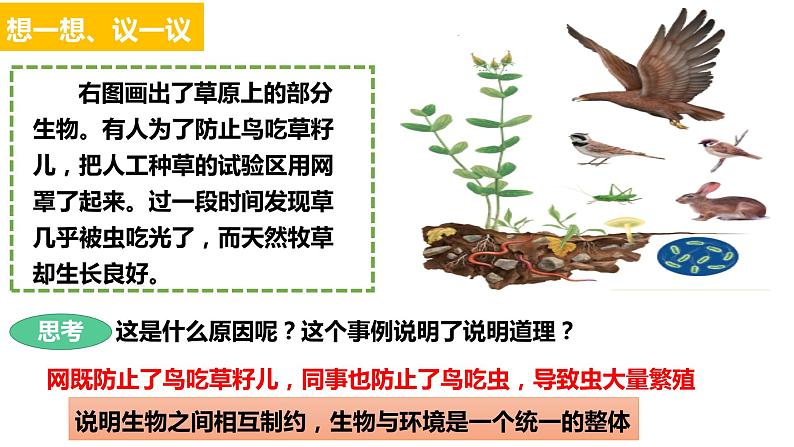 第二节 生物与环境组成生态系统（课件）第2页