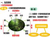 人教版《生物与环境组成生态系统》PPT课件+视频