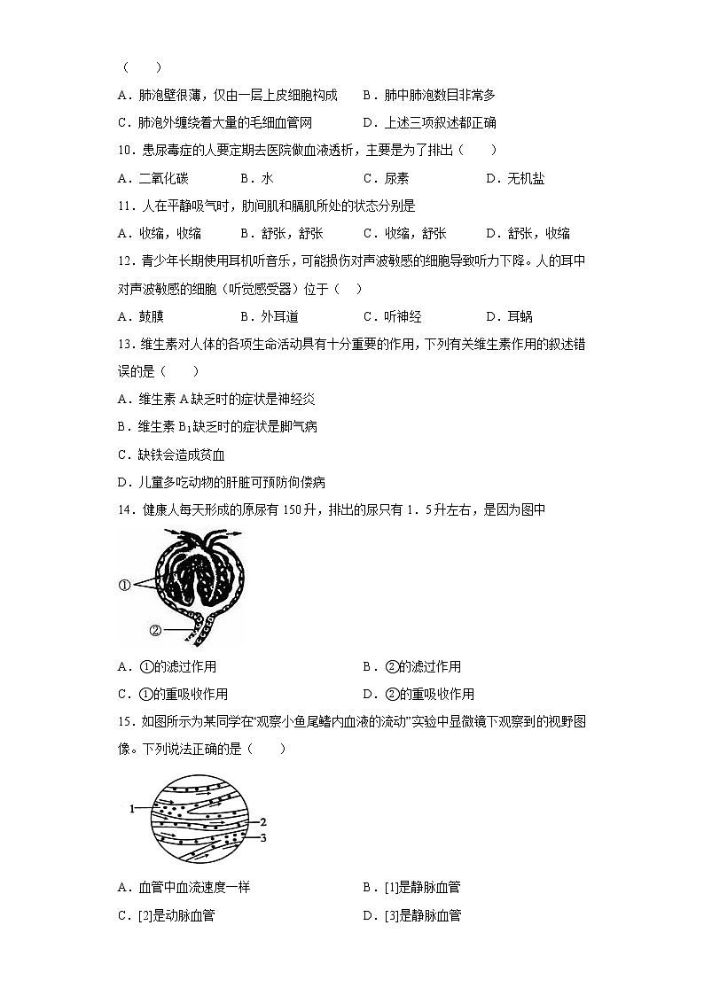 河南省商丘市宁陵县2021-2022学年七年级下学期期末生物试题(含答案)02