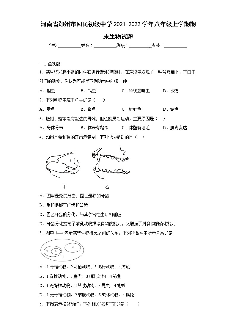 河南省郑州市回民初级中学2021-2022学年八年级上学期期末生物试题(含答案)01