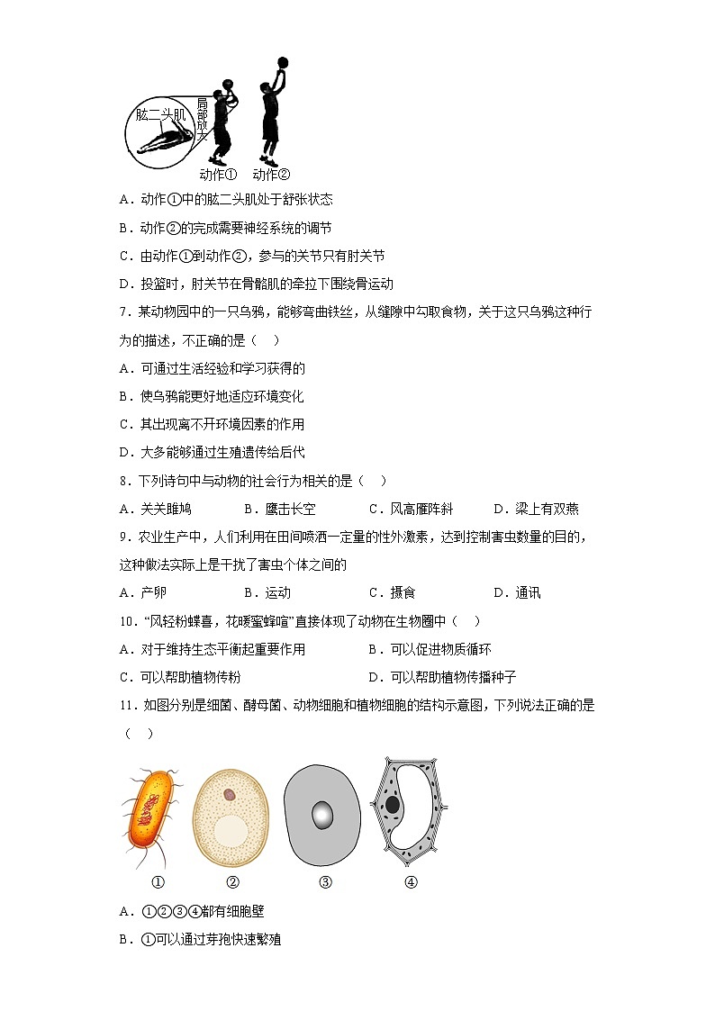 河南省郑州市回民初级中学2021-2022学年八年级上学期期末生物试题(含答案)02