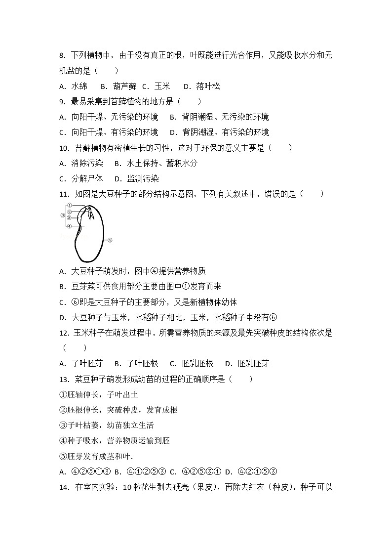 第三单元生物圈中的绿色植物检测题 2022-2023学年人教版生物七年级上册(含答案)02