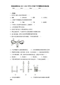 河南省郑州市2021-2022学年七年级下学期期末生物试题(含答案)