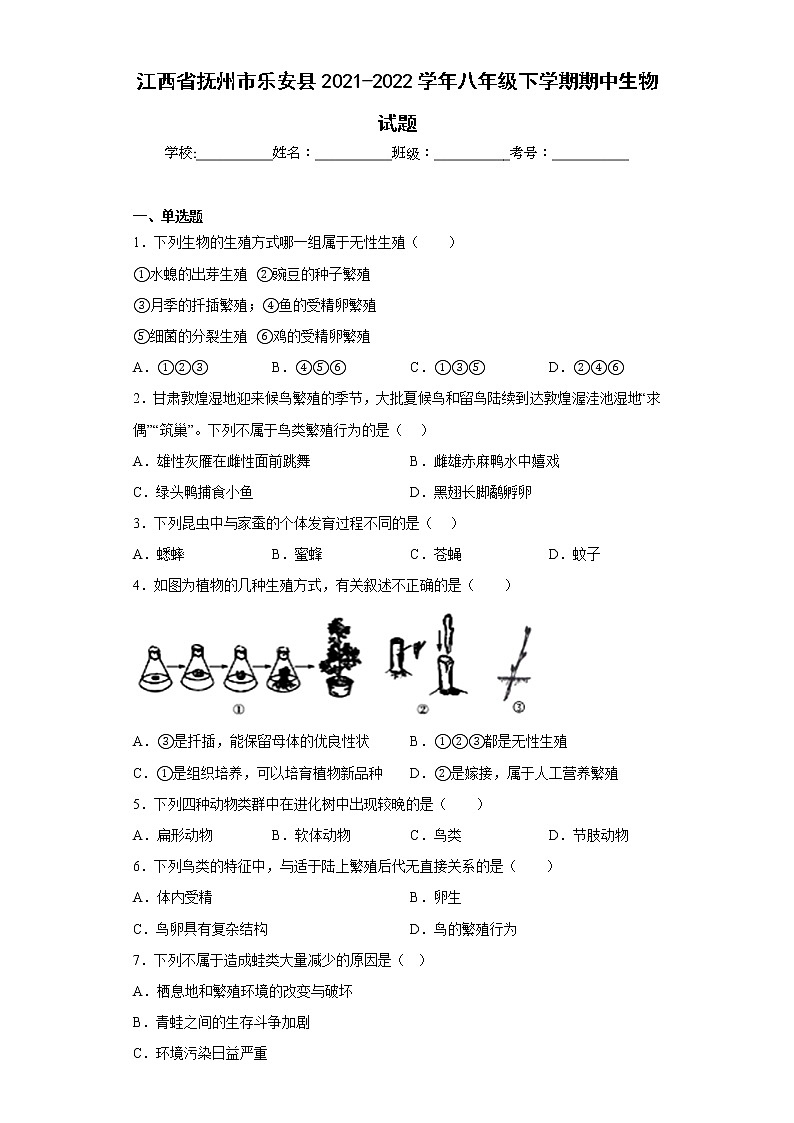 江西省抚州市乐安县2021-2022学年八年级下学期期中生物试题(含答案)第1页