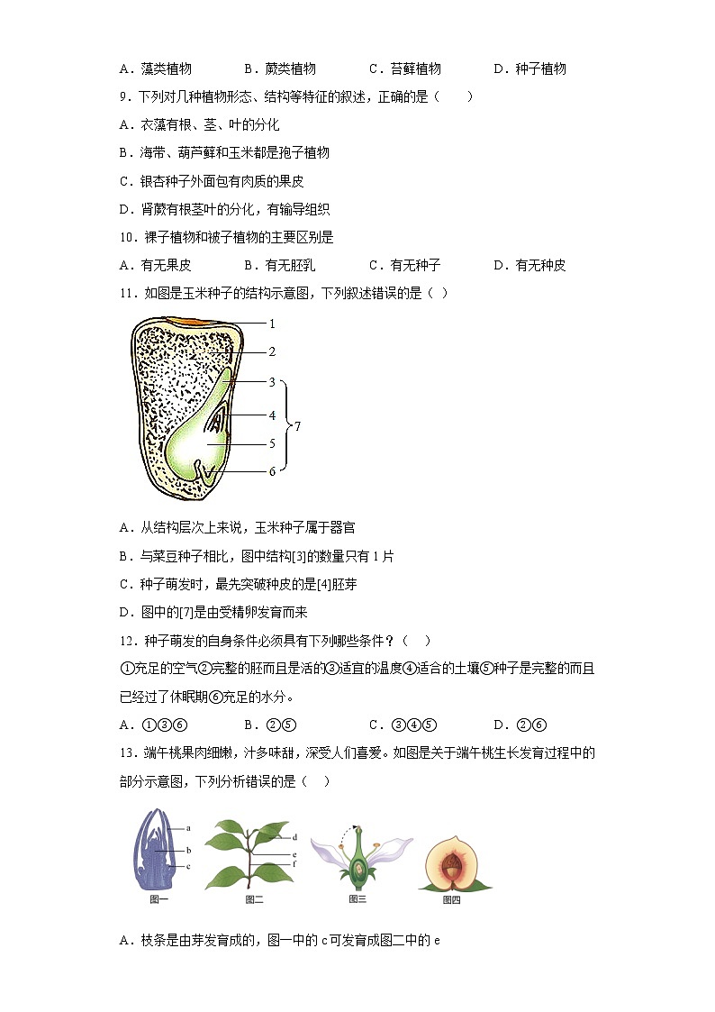 江西省景德镇市2021-2022学年七年级上学期期末生物试题(含答案)02