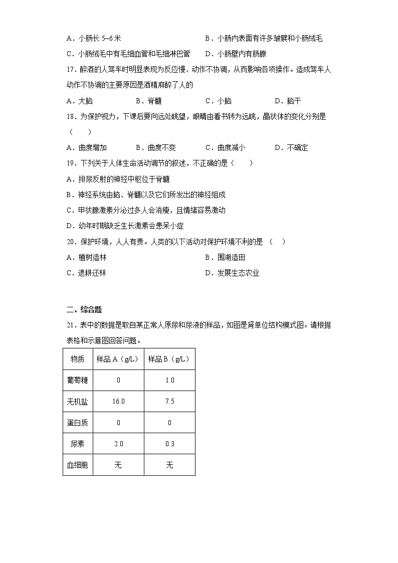 江西省上饶市铅山县2021-2022学年七年级下学期期末生物试题(含答案)03