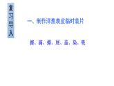 人教版七年级上册生物学--2.1.3动物细胞（课件）