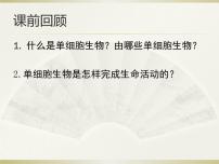 初中生物人教版 (新课标)七年级上册第一节 藻类、苔藓和蕨类植物多媒体教学课件ppt