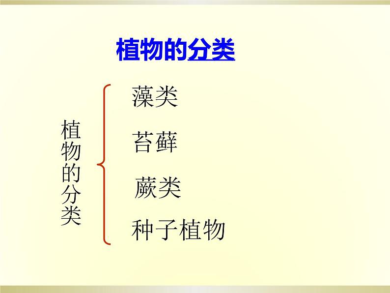 人教版七年级上册生物学--3.1.1藻类、苔藓和蕨类植物（课件） (2)05