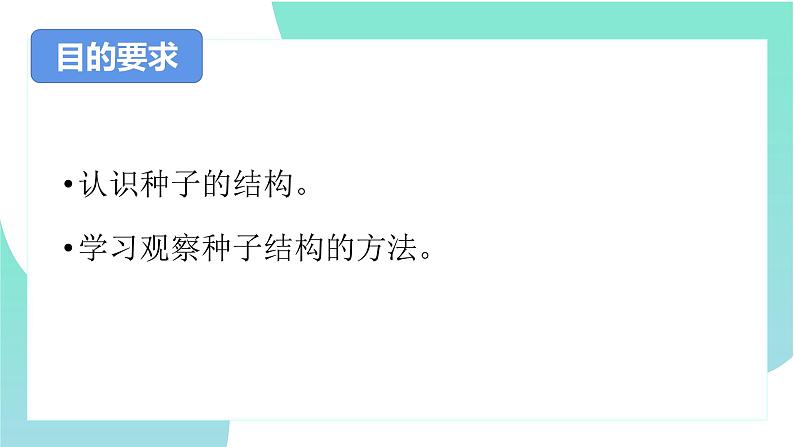 人教版七年级上册生物学--3.1.2种子植物-课件03