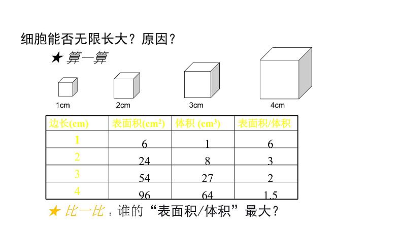 人教版七年级上册生物学--第二单元第二章2.2.1细胞通过分裂产生新细胞 课件第8页