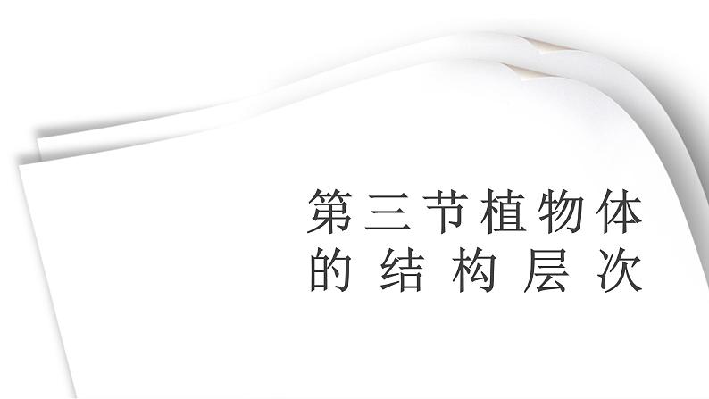 人教版七年级上册生物学--第二单元第二章2.2.3植物体的结构层次  课件第1页