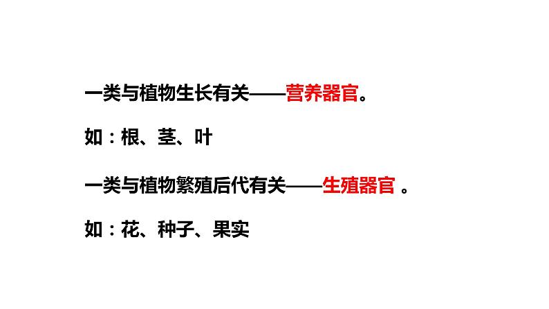 人教版七年级上册生物学--第二单元第二章2.2.3植物体的结构层次  课件第4页