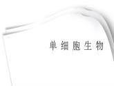 人教版七年级上册生物学--第二单元第二章2.2.4 单细胞生物 课件