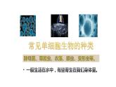 人教版七年级上册生物学--第二单元第二章2.2.4 单细胞生物 课件