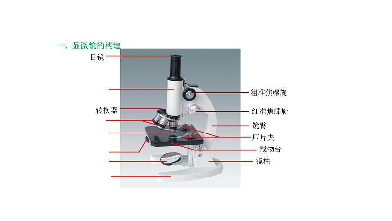 人教版七年级上册生物学--第二单元第一章2.1.1练习使用显微镜 课件05