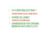 人教版七年级上册生物学--第二单元第一章2.1.3动物细胞 课件
