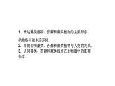 人教版七年级上册生物学--第三单元第一章3.1.1藻类、苔藓和蕨类植物 课件