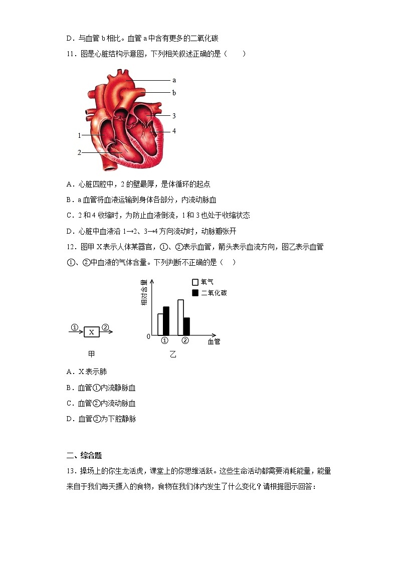 辽宁省大连市高新技术产业园区名校联盟2021-2022学年七年级下学期期中生物试题(含答案)第3页